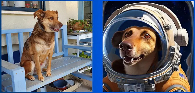 משמאל: ג'ואי הכלב (האמיתי:) שלי. מימין: ג'ואי בחלל