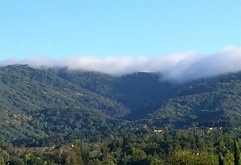 Adobe Creek (Santa Clara County)