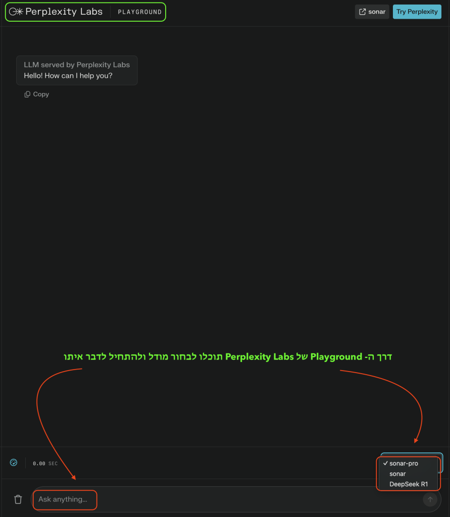 מסך ה- Playground של Perplexity Labs