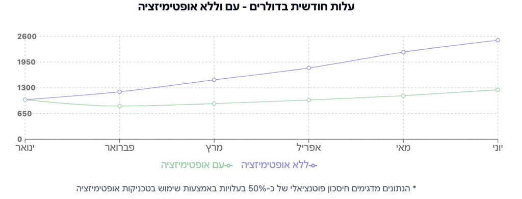 חיסכון בעלויות עם אופטימיזציה