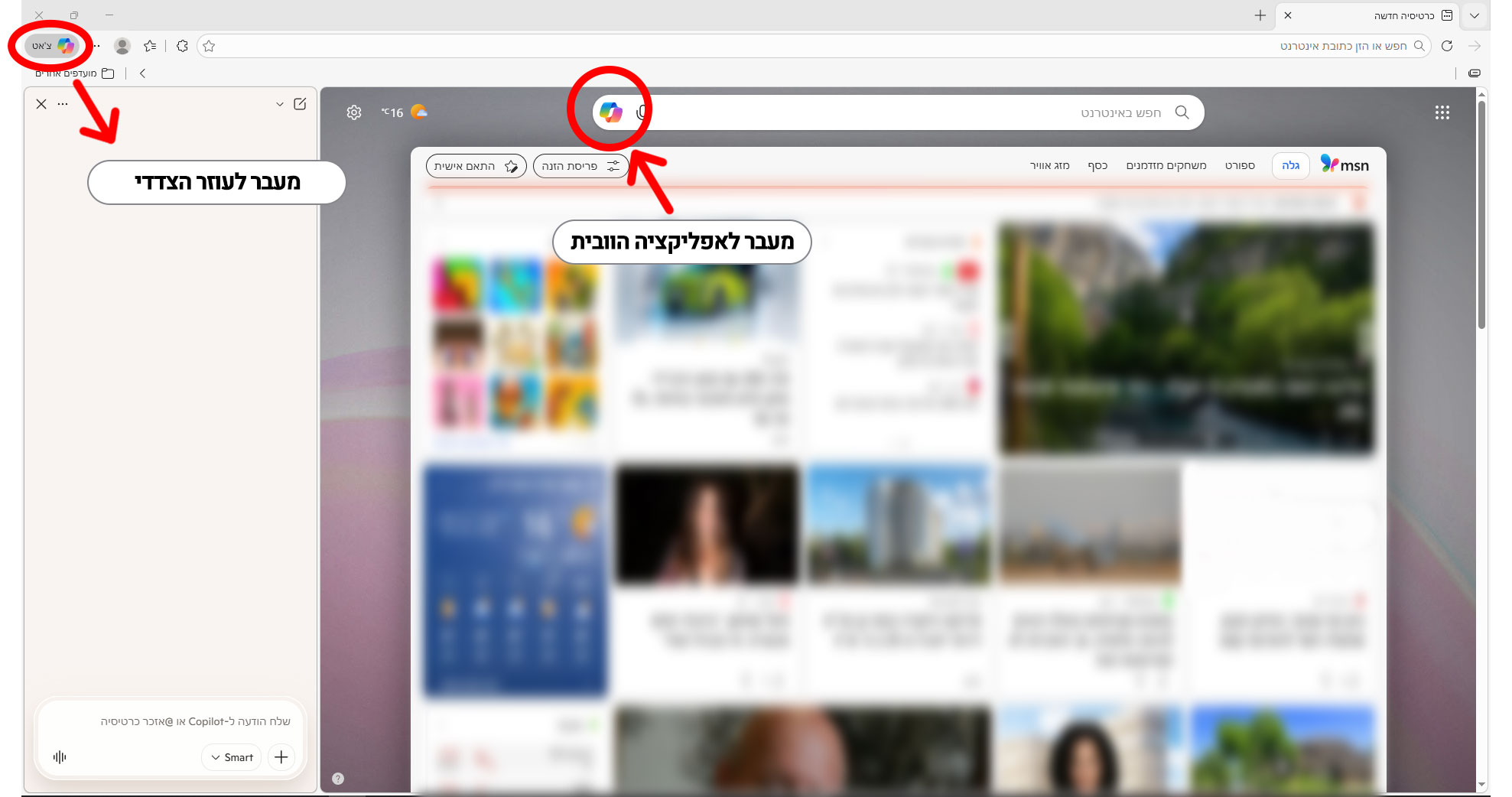 כניסה לקופיילוט החינמי