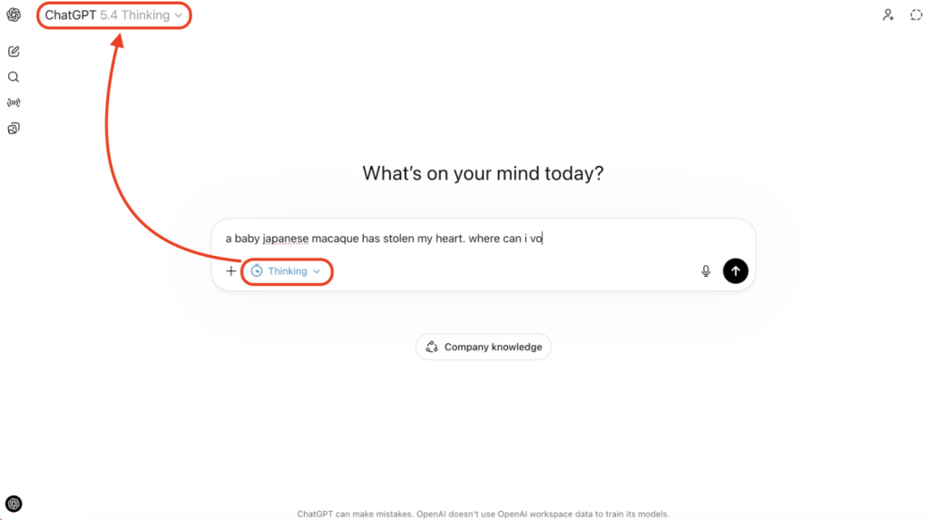 הפעלת המודל החדש עם יכולת חשיבה סטנדרט/מורחב