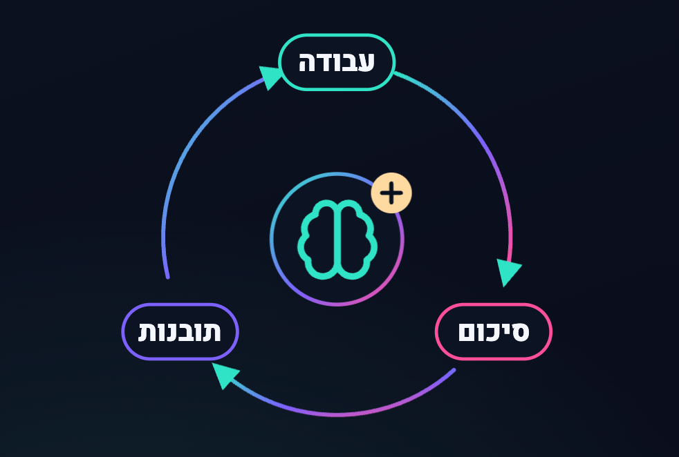 לולאת הלמידה הארגונית