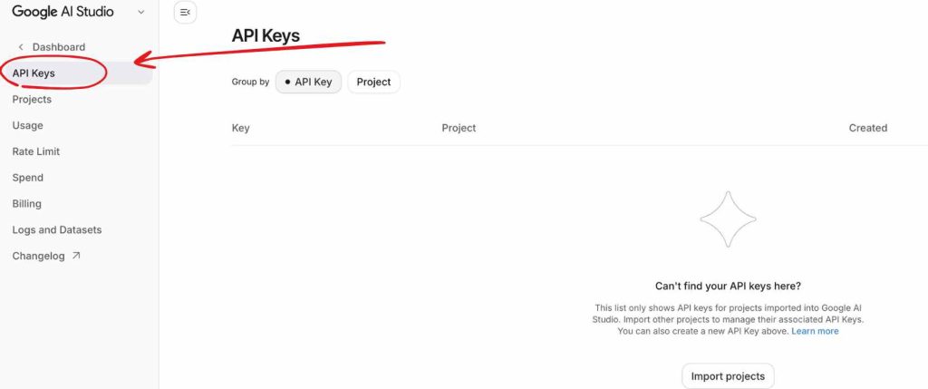 google ai studio api key