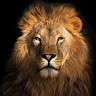 Avatar photo